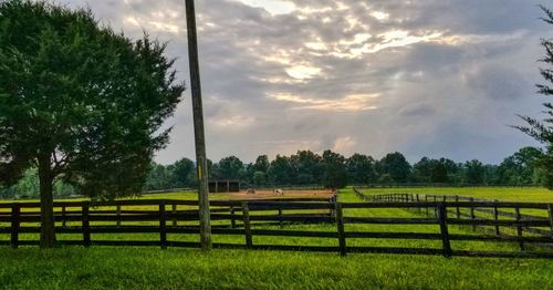 Scenic view of field against sky