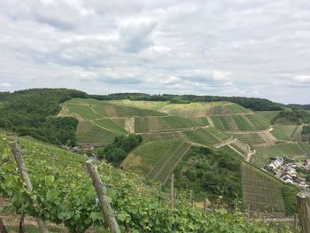 Scenic view of agricultural field against sky