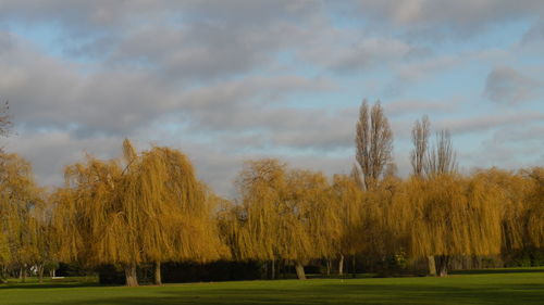 Scenic view of grassy field against cloudy sky