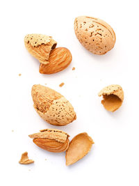 High angle view of cookies against white background