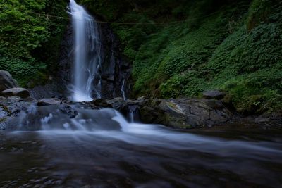 Scenic view of waterfall in forest