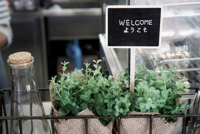 Close-up of vegetables for sale