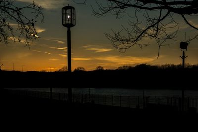 Silhouette of trees at sunset