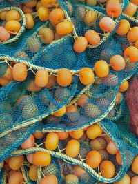 High angle view of orange balls on fishing net