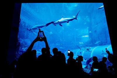 Group of silhouette people in aquarium