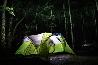 Illuminated tent by trees at forest