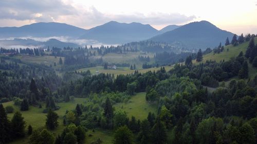 High angle view of trees on landscape against sky in transylvania,romania.