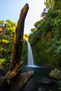 River flowing through rocks