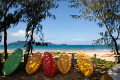 Colored canoes on the beach