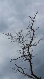 Low angle view of bare tree against cloudy sky