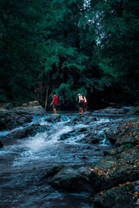 People on rock amidst trees in forest