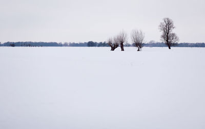 Snow covered field against sky