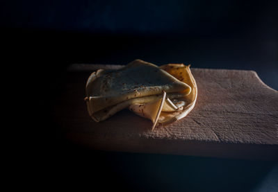 Close-up of animal shell on wood