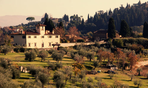 Luxury villa in tuscany florence , famous vineyard in italy golden hour