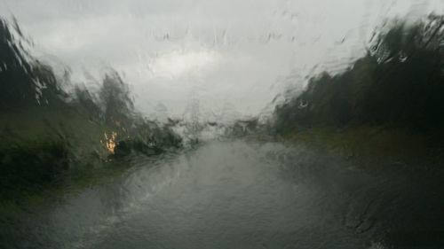 Scenic view of wet trees against sky during rainy season