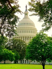 Low angle view of trees with building in background