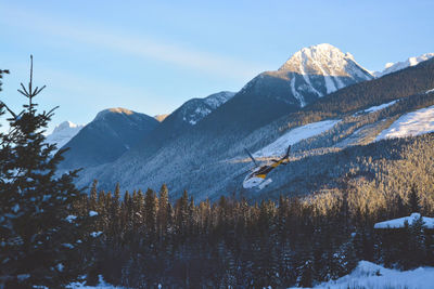 Helicopter over trees against mountains