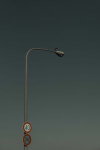 Close-up of bird perching on pole