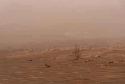 Stormy weather in dasht e lut or sahara desert. nature and landscapes desert.