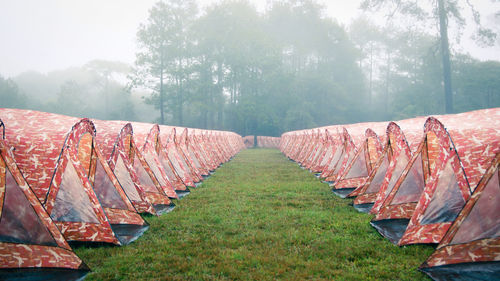 Panoramic shot of trees on field against sky