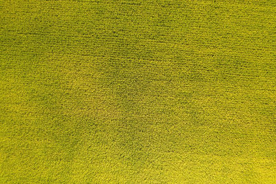 Full frame shot of yellow curtain