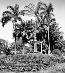 Built structure with trees in background