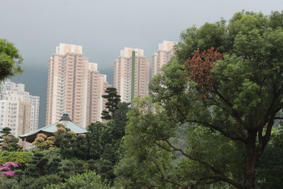 Low angle view of trees and buildings against clear sky