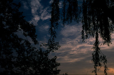Low angle view of silhouette trees against sky at sunset