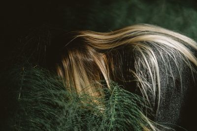 Close-up portrait of woman with hair