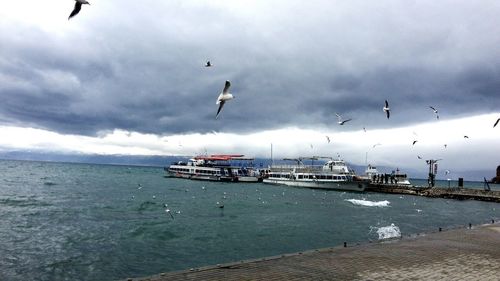 Seagull flying over sea against sky