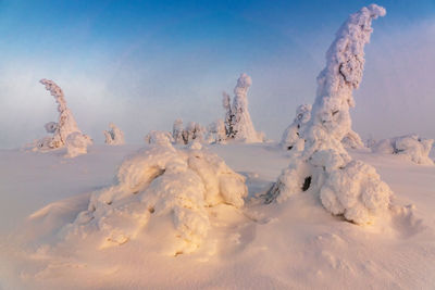 Panoramic view of snow covered land