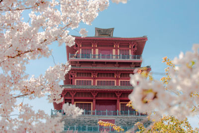 Low angle view of flowering tree by building against sky