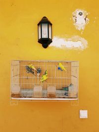 Yellow bird house