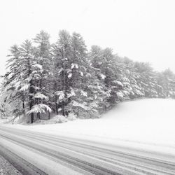 View of road along trees