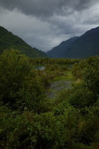 Scenic view of lake by mountains against sky