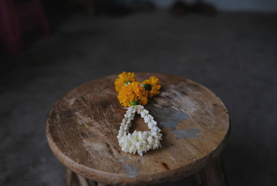 High angle view of yellow flowering plant on wood