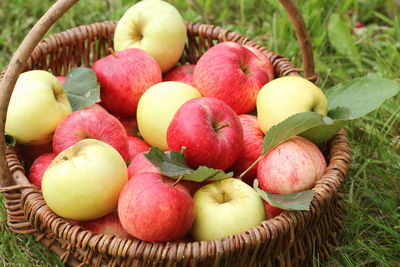 Close-up of apples in basket