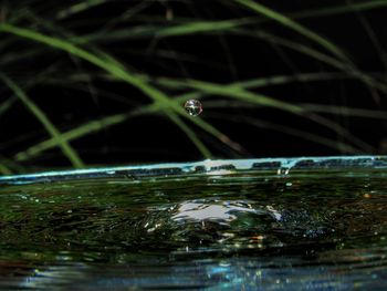 Close-up of water drops on grass in lake