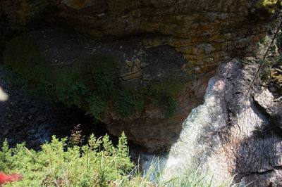 Scenic view of stream