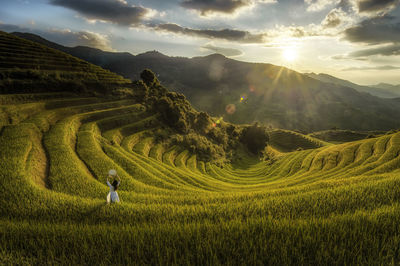 Scenic view of terraced fields with woman by plants against sky during sunrise