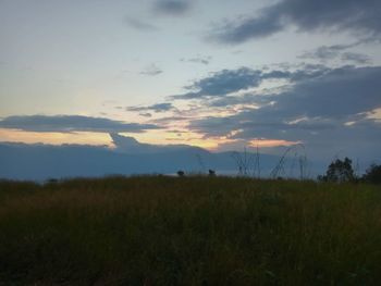 Scenic view of field against sky during sunset