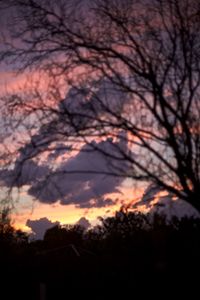 Silhouette trees against sky at sunset