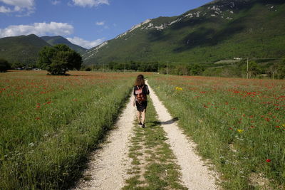 Rear view of woman walking in field