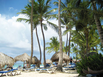 Palm trees on beach against sky