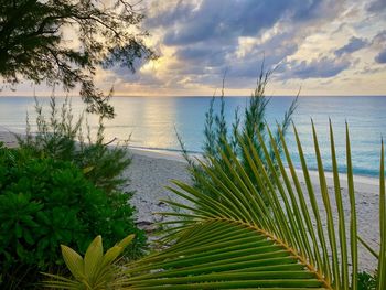 Scenic view of sea against sky at sunset