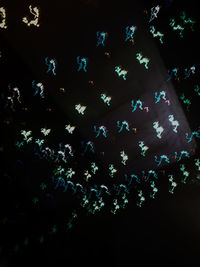 Low angle view of flowering plants and trees at night