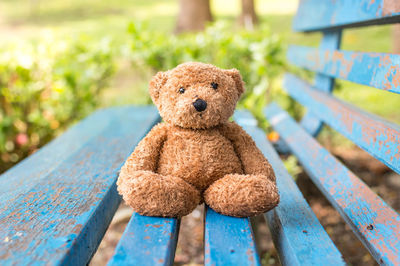 Teddy bear on bench