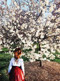 Low angle view of woman standing by flowering tree