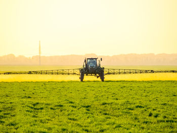 Scenic view of agricultural field against sky