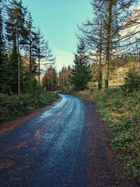 Road amidst trees against sky